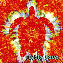 turtle_0