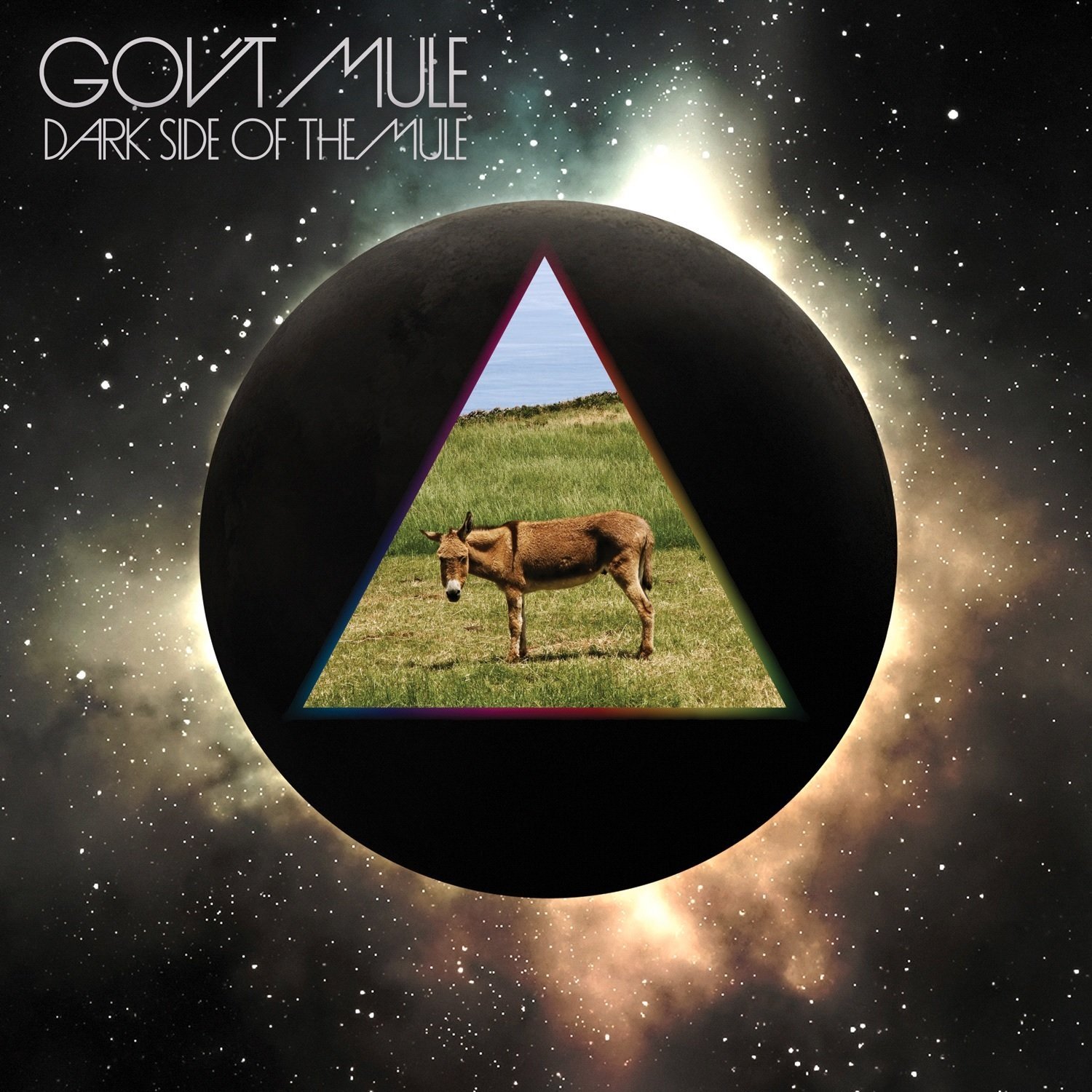 Gov't Mule - Dark Side of the Mule CD | Leeway's Home Grown Music Network