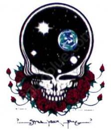 Grateful Dead - Space Your Face Clear Window Sticker | Leeway's Home ...