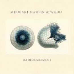 Medeski Martin & Wood - Radiolarians 2 CD | Leeway's Home Grown Music  Network