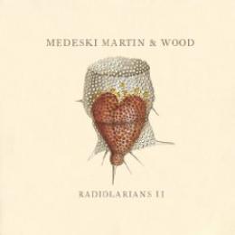 Medeski, Martin, and Wood - Tonic CD | Leeway's Home Grown Music