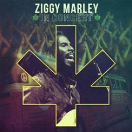 ziggy marley family time download zip
