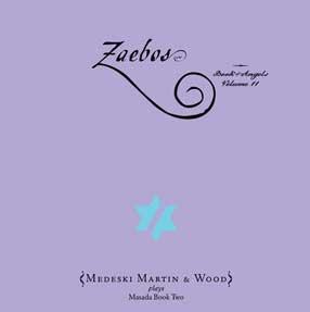 Medeski Martin and Wood - Zaebos: The Book of Angels Vol. 11 | Leeway's  Home Grown Music Network