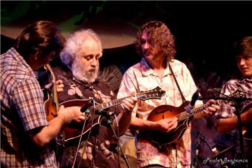 David_Grisman__3_